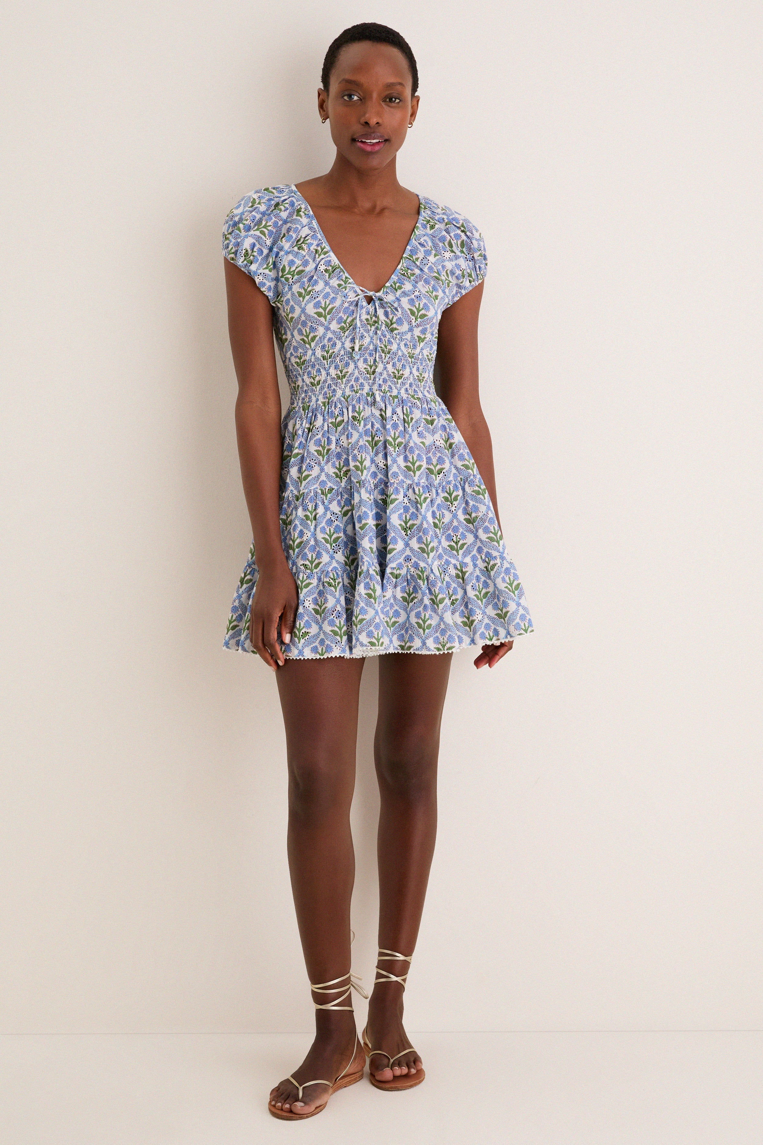 Cornflower Asterid Mini Dress