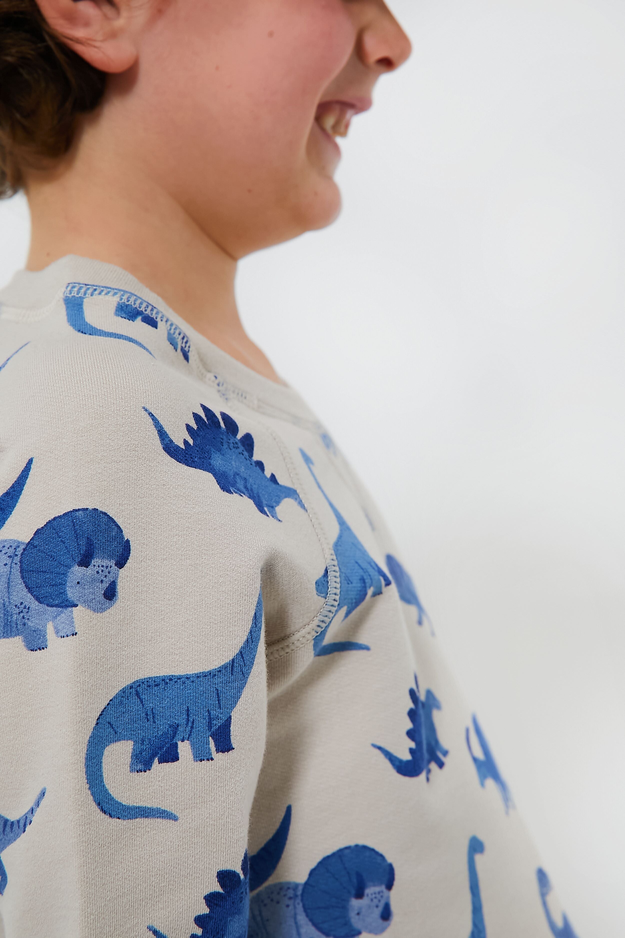 French Terry Dinos Raglan Sweatshirt and Jogger Set