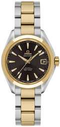 Omega Seamaster Aqua Terra 231.20.30.20.06.002