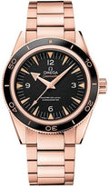 Omega Seamaster 233.60.41.21.01.001