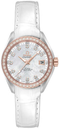 Omega Seamaster Aqua Terra 231.28.30.20.55.001